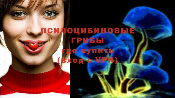метадон Надым