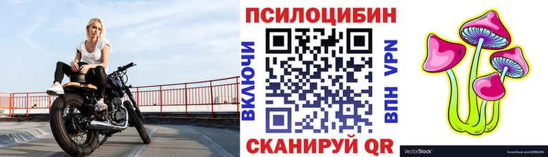 Купить где  Владивосток  Галлюциногенные грибы GOLDEN TEACHER 